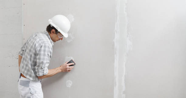 Best Drywall Installation  in Schaumburg, IL